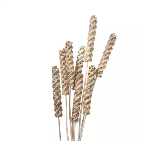 Natural rattan twist stick from dried lata vine for floral decor and rustic crafts by LeafnDeor