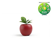 Apple Plastic Plant Pot | Decorative Round Planter | Multicolor