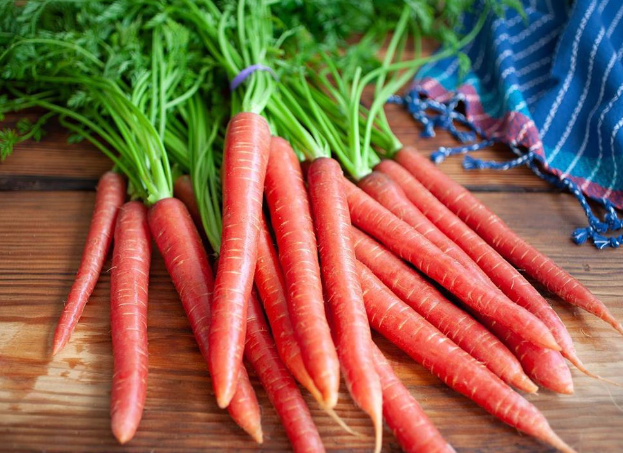 RED CARROT