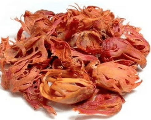 RED MACE (JATHI PATHRI)