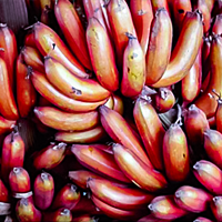 Red Banana