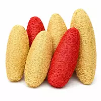 Red and natural loofah dry flowers mix for vase decor, boho styling and craft use by leafndeor