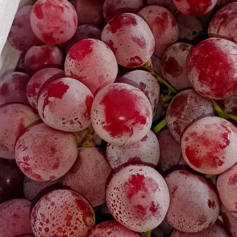 Premium Red Globe Grapes (Lal Angoor) 250G