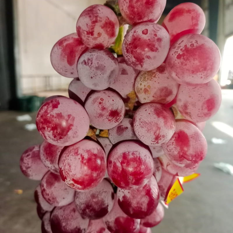 Premium Red Globe Grapes (Lal Angoor) 250G