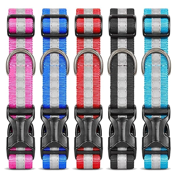Reflective Nylon Dog Collar (Pack of 2)
