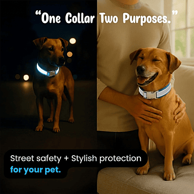 Max Reflective Dog Collar (set of 2)-multicolour