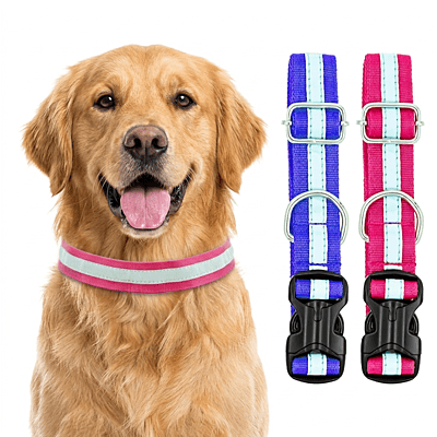 Reflective Nylon Dog Collar (Pack of 2)