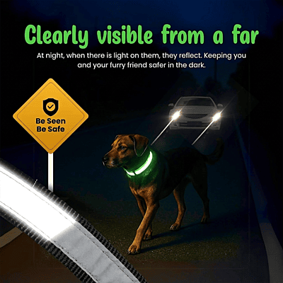 Reflective Nylon Dog Collar (Pack of 2)