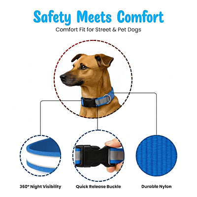 Max Reflective Dog Collar (set of 2)-multicolour