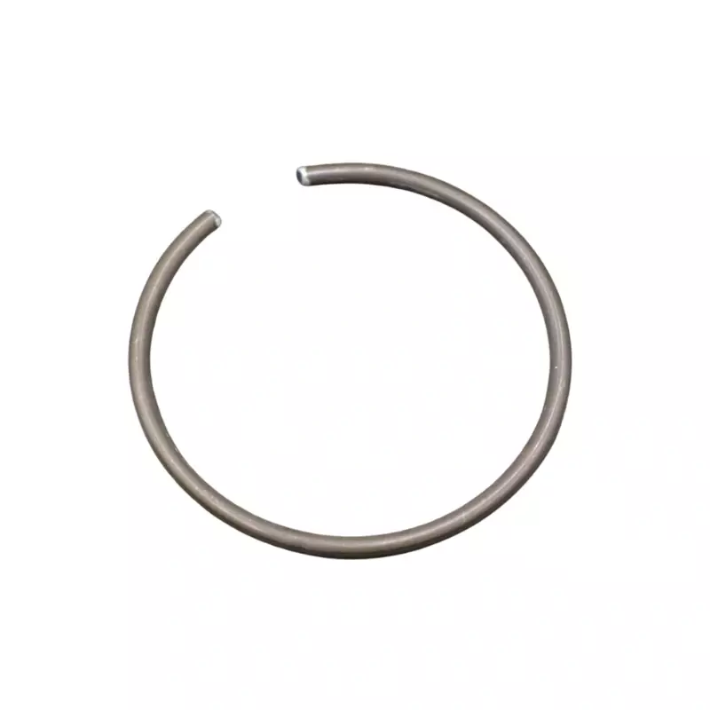 BOSCH – RETAINING RING – Multiple Vehicles | 1004601016