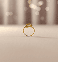 18 kt gold sprial ring