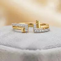 18 kt gold gap band