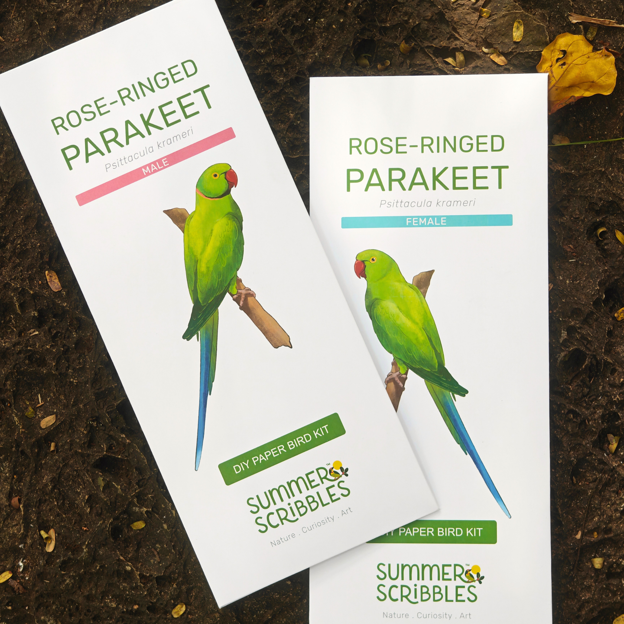 Rose-ringed Parakeet — Paper Craft Kit (Set of 2)