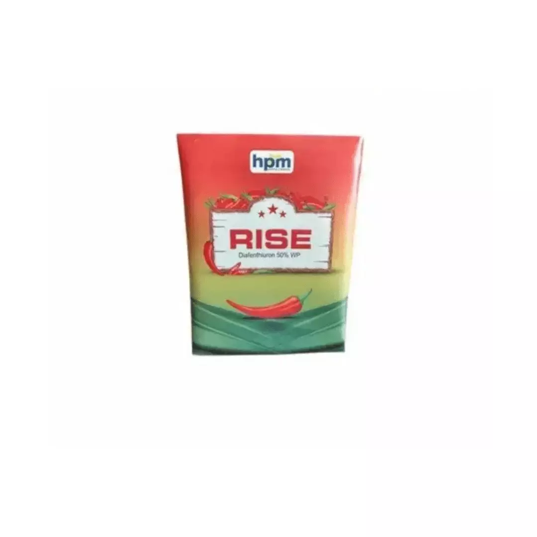 Rise