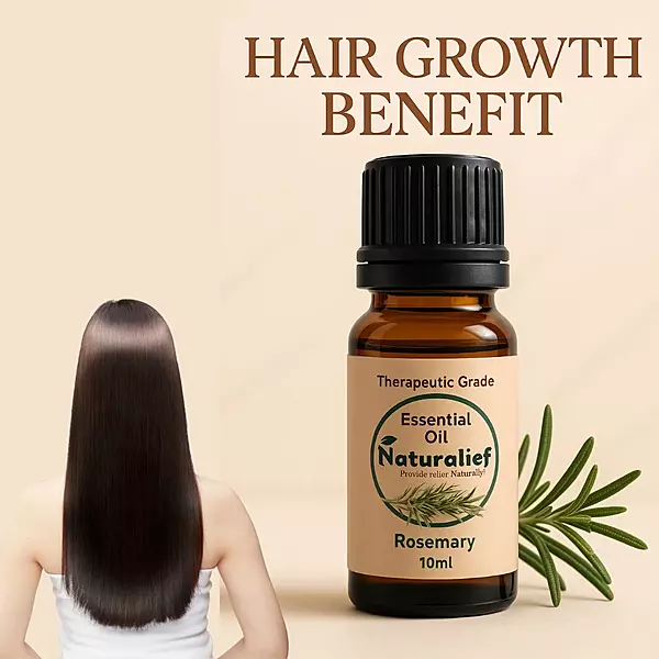 Rosemary Essential Oil – Pure & Therapeutic Grade (Lavandula Officinalis)