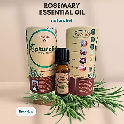 Rosemary Essential Oil – Pure & Therapeutic Grade (Lavandula Officinalis)