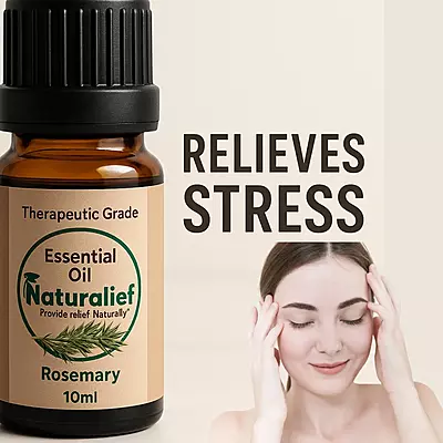 Rosemary Essential Oil – Pure & Therapeutic Grade (Lavandula Officinalis)