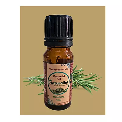Rosemary Essential Oil – Pure & Therapeutic Grade (Lavandula Officinalis)