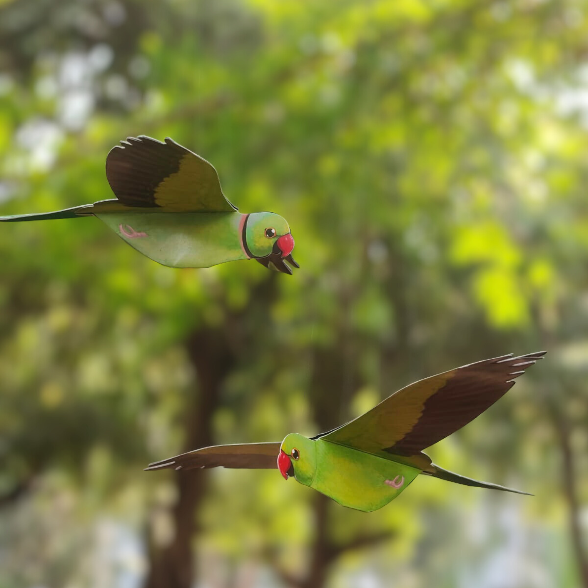 Rose-ringed Parakeet — Paper Craft Kit (Set of 2)