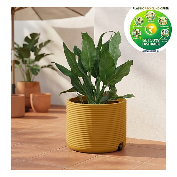 Roto Ribble Wheel Planter Pot | 10 Inch