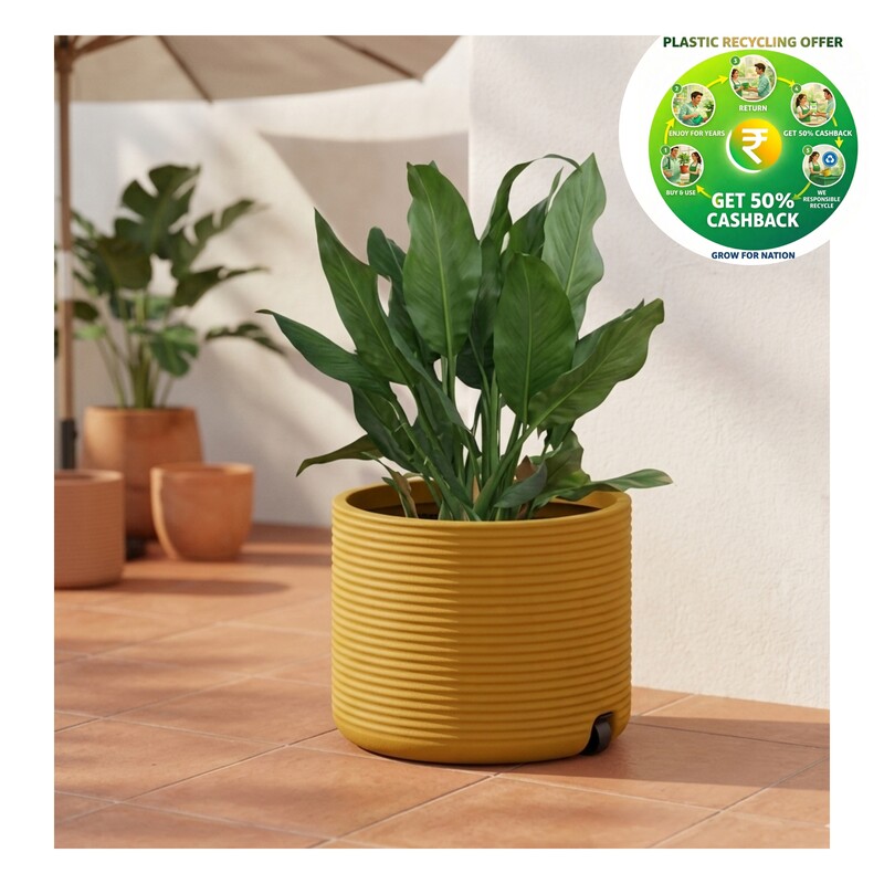 Roto Ribble Wheel Planter Pot | 10 Inch
