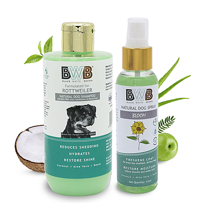 Rottweiler Shampoo (250 ml + deospray)