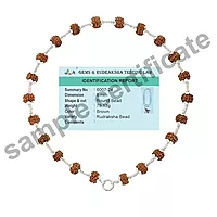 925 Sterling Silver tied Rudraksha Mala Panch Mukhi 5 Mukhi Five Face 54 Beads