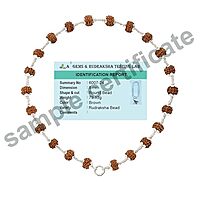 925 Sterling Silver tied Rudraksha Mala Panch Mukhi 5 Mukhi Five Face 54 Beads