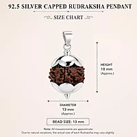 Rudraksha Pendant/Sterling Silver Caped Pendant