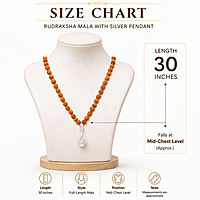 Rudraksha Mala/Chain with Sterling Silver Iyyappa Pendent/Dollar