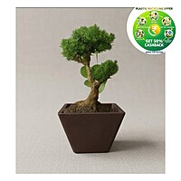 Rufwood Square Plastic Plant Pot | 4 Inch | Indoor & Decorative Planter