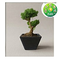Rufwood Square Plastic Plant Pot | 4 Inch | Indoor & Decorative Planter