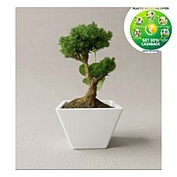 Rufwood Square Plastic Plant Pot | 4 Inch | Indoor & Decorative Planter