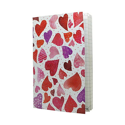 Novelty Ruled Book 13 Novelty Ruled Book 13