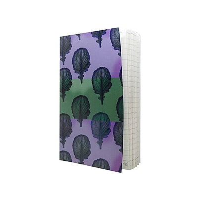 Novelty Ruled Book 21 Novelty Ruled Book 21