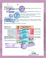 Russian Apostille