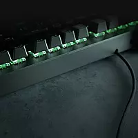 Razer BlackWidow V3 TKL Mechanical Gaming Keyboard – Yellow Switches | RGB | USB