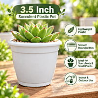 3.5 Inch Succulent Plastic Pot | ECSHA