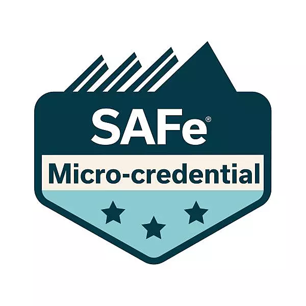 SAFe Agile Contracting