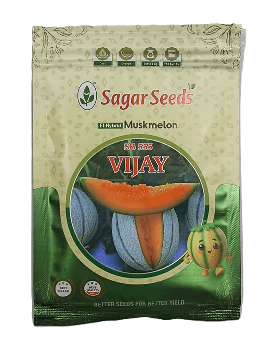 Vijay F-1 Hybrid Muskmelon Seeds by Sagar Seeds