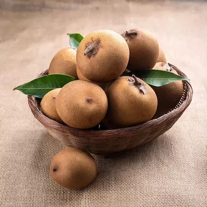 Sappota சப்போட்டா