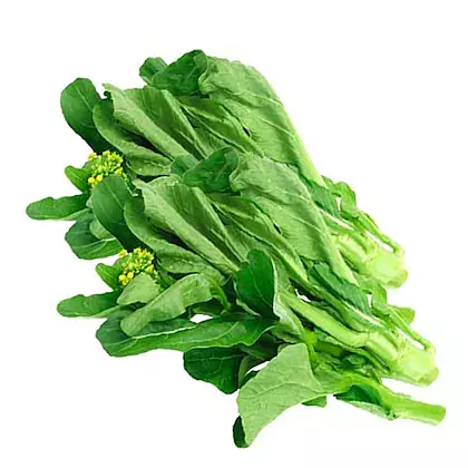 SARSON LEAVES