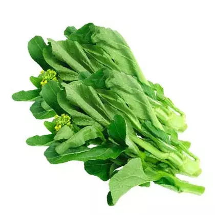 SARSON LEAVES