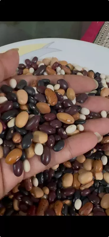 Satrangi Munsiyari Rajma