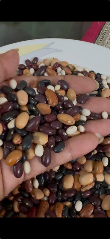 Satrangi Munsiyari Rajma