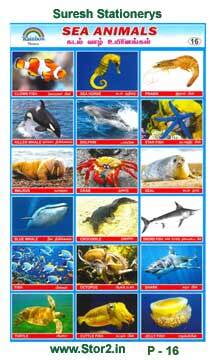 Sea Animals - Educational Picture Chart No - 16