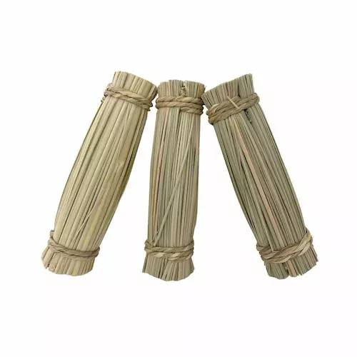 Seagrass Bundle