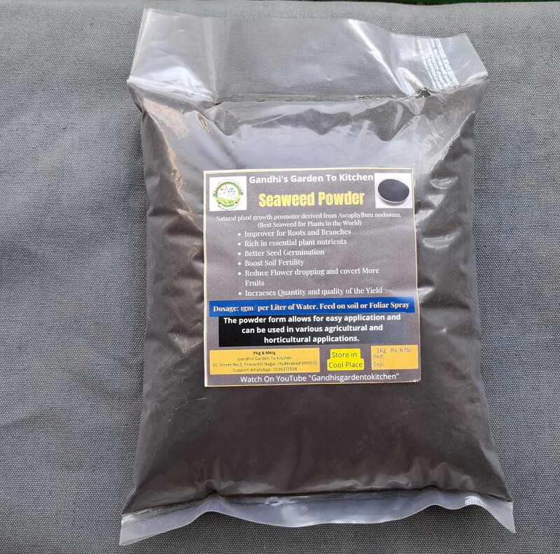 Seaweed Extract Powder (100% Water Soluble) 98% purity