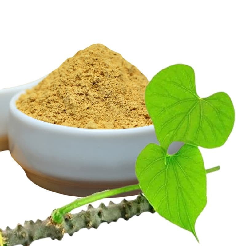 Seenthil Kodi / Heart-Leaved Moonseed Powder Seenthil Kodi / Heart-Leaved Moonseed Powder