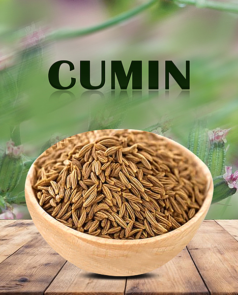 Seeragam - Cumin Seeds